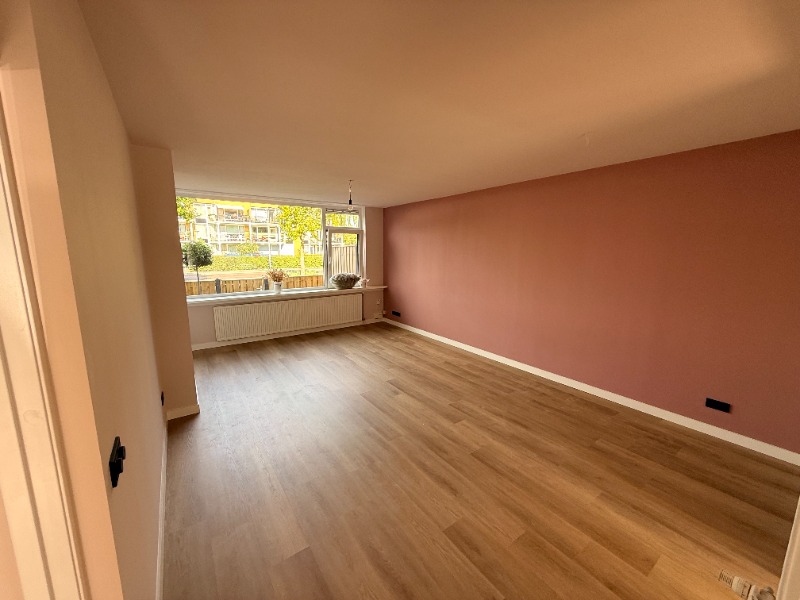 Woonkamer gezien vanuit de deuropening, met een terracotta accentwand, houtlook vloer en een groot raam.